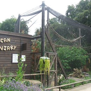 African Aviary