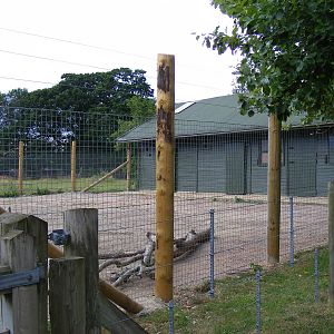 New fencing for wildebeest enclosure at Marwell Wildlife, 10 July 2009