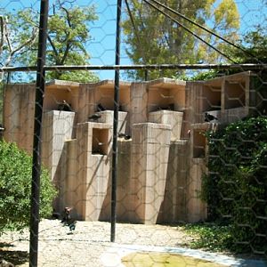 Zoobotanico Jerez (2009)