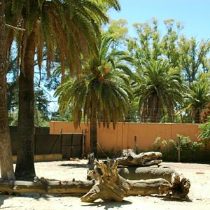 Zoobotanico Jerez (2009)