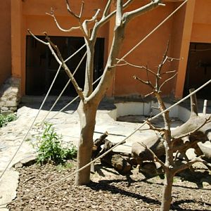 Zoobotanico Jerez (2009)