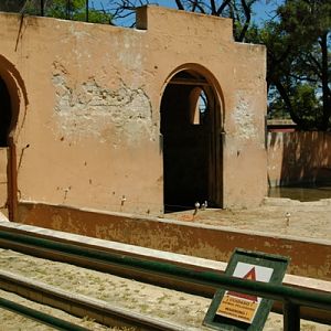 Zoobotanico Jerez (2009)