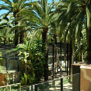 Zoobotanico Jerez (2009)