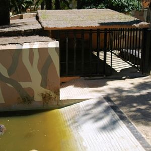 Zoobotanico Jerez (2009)