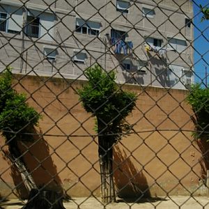 Zoobotanico Jerez (2009)