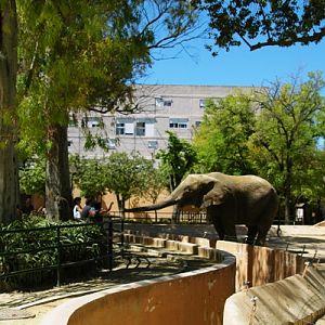Zoobotanico Jerez (2009)