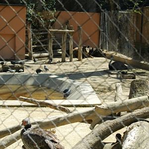 Zoobotanico Jerez (2009)