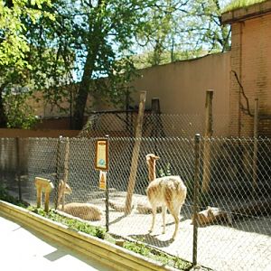 Zoobotanico Jerez (2009)