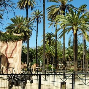 Zoobotanico Jerez (2009)