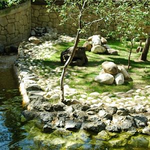 Zoobotanico Jerez (2009)