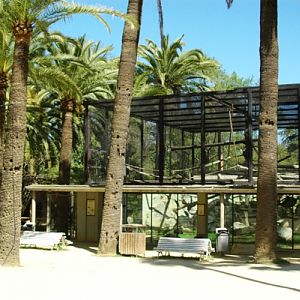 Zoobotanico Jerez (2009)