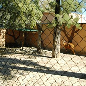 Zoobotanico Jerez (2009)