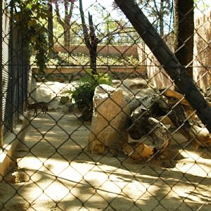 Zoobotanico Jerez (2009)