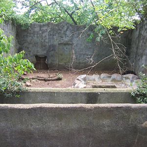 Black Bear pit/grotto