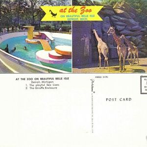 Belle Isle Giraffes and Sea Lions