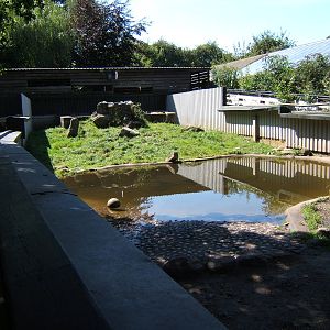 View of 1 of the 4 Otter Pools