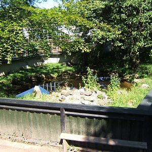 View of 1 of the 4 Otter Pools