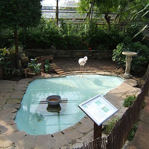 The indoor Flamingo Pool