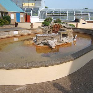 View of the Penguin Pool