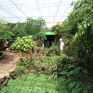 View of Butterfly House
