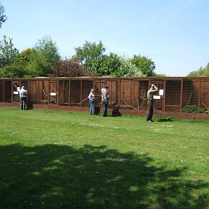 View of Pheasant Aviarys