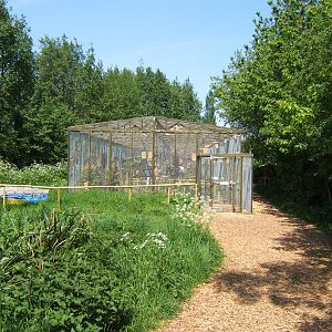 View of Walk-through Aviary