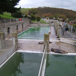 View of Grey Seal Pools