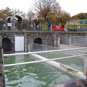 View of the Nursery Pool area of the Grey Seal Pool