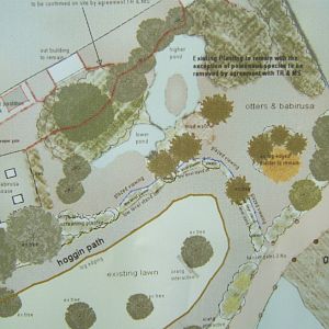 Plan of the Otter and Babirusa exhibit