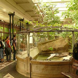 Inside the Reptile House