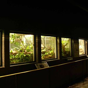 Inside the Vivarium
