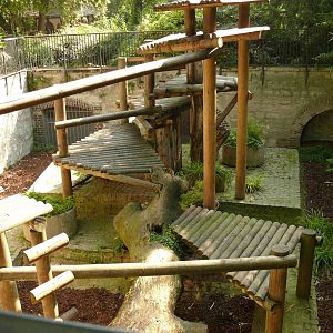 Binturong enclosure1