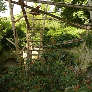 Red Panda enclosure1