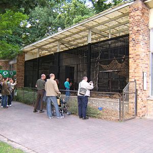 Orang enclosure and house