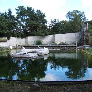 Gannet enclosure with Polar Bear enclosure in background