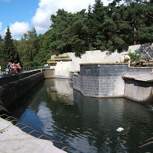 Polar Bear enclosure