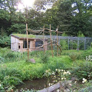 Gibbon enclosure at Schwerin Zoo