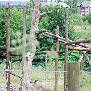 Building the new chimp climbing frame
