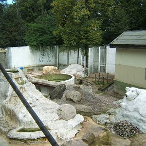 Polar Bear enclosure