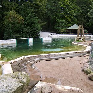 Common Seal enclosure