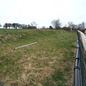 New Prairie Dog enclosure