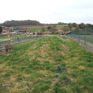 View of the Prairie Dog Enclosure