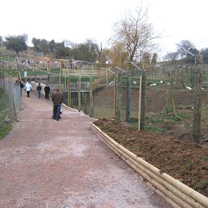 Re-fencing the waterfowl and Stork enclosures