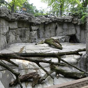 bear exhibit