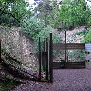 Le Cratère des mouflons - The Sheep's Crater