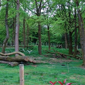 Maki Catta Park, the lemurs exhibit