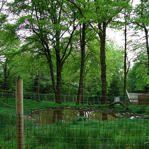 Maki Catta Park, the lemurs exhibit