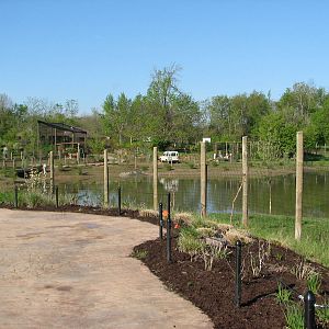 A view across the veldt