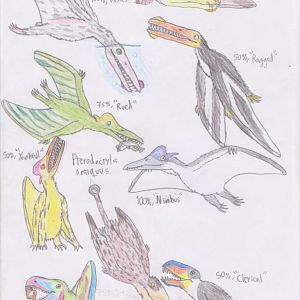 PKC: Ptoothed Pterosaurs