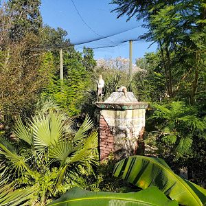 Oct. 2020 - Asian Gardens - Sulawesi Aviary (14 Species)